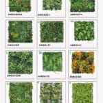 JUAL RUMPUT SINTETIS HIAS