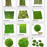 JUAL RUMPUT SINTETIS HIAS